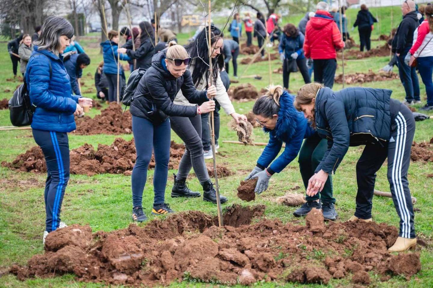  Продължава залесяването на жилищните квартали във Враца 